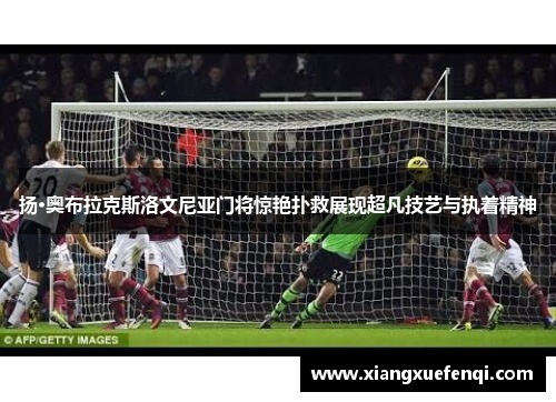 扬·奥布拉克斯洛文尼亚门将惊艳扑救展现超凡技艺与执着精神