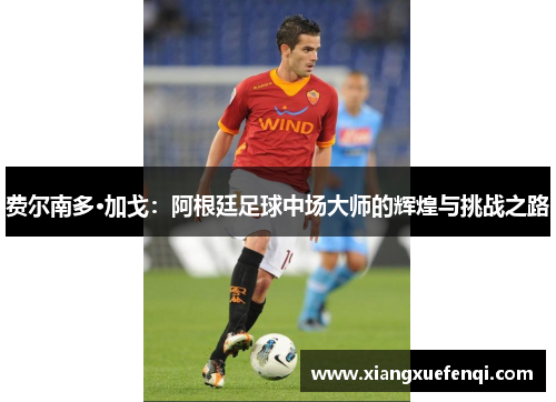 费尔南多·加戈：阿根廷足球中场大师的辉煌与挑战之路