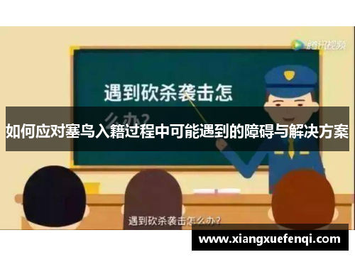 如何应对塞鸟入籍过程中可能遇到的障碍与解决方案